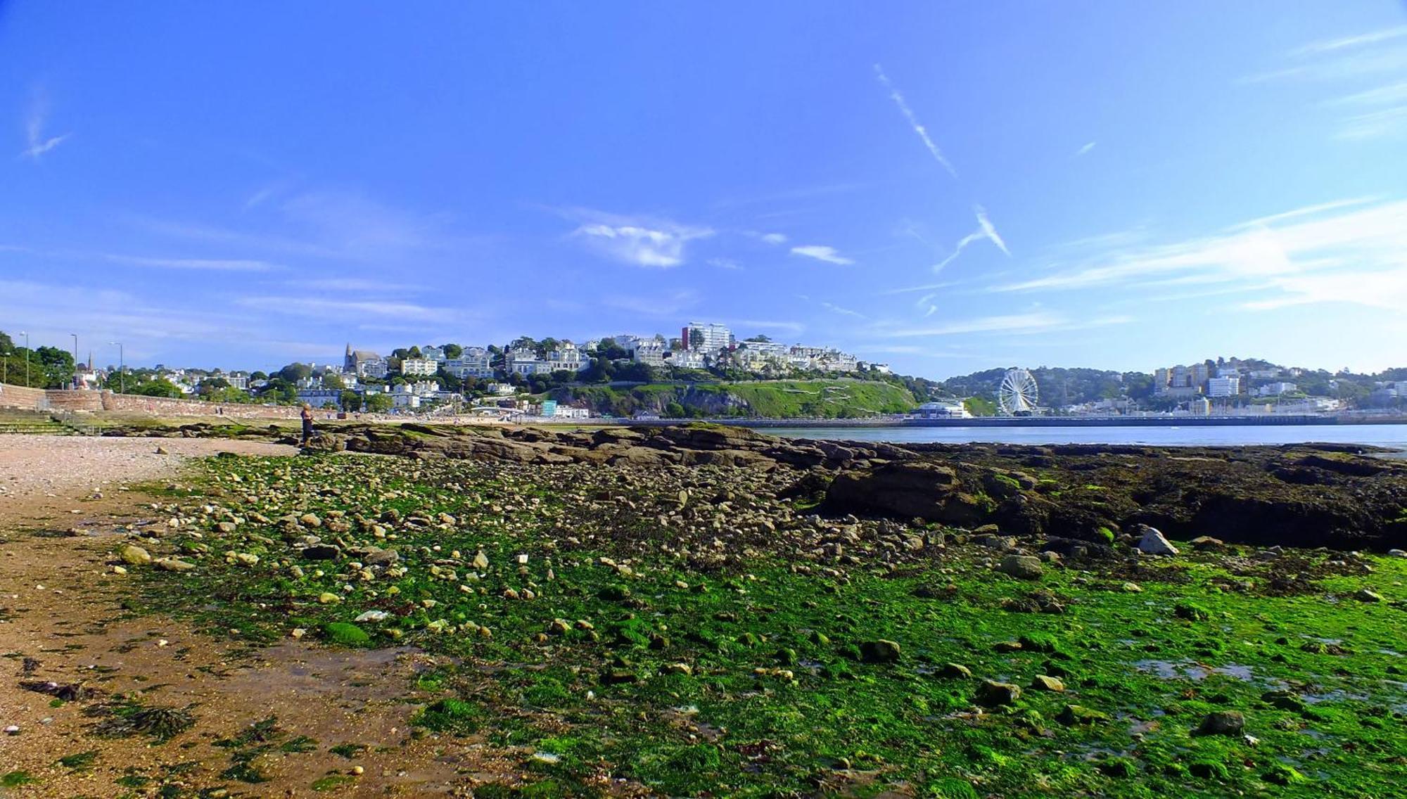 The Osborne Hotel Torquay Exterior foto